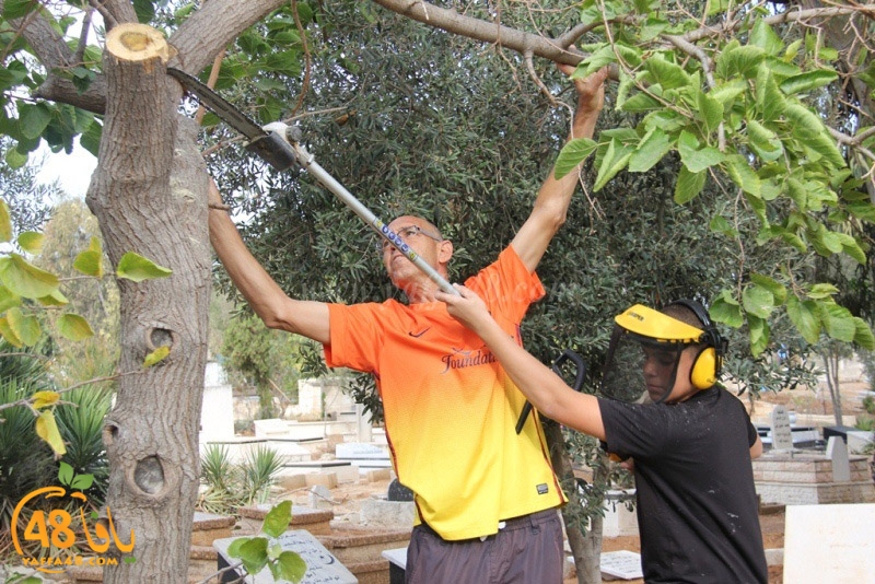 tasoooi3i1412 (62).JPG